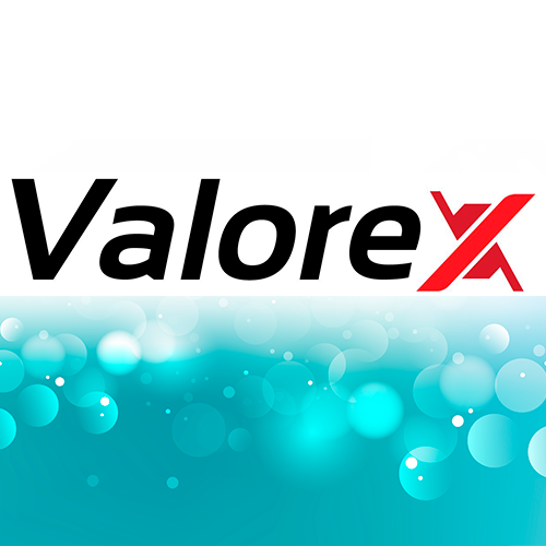 ValoreX - Perito Judicial Madrid